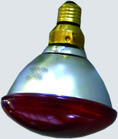 Energiesparstrahler Rot 100W-Interheat (2Stk/Pkg)