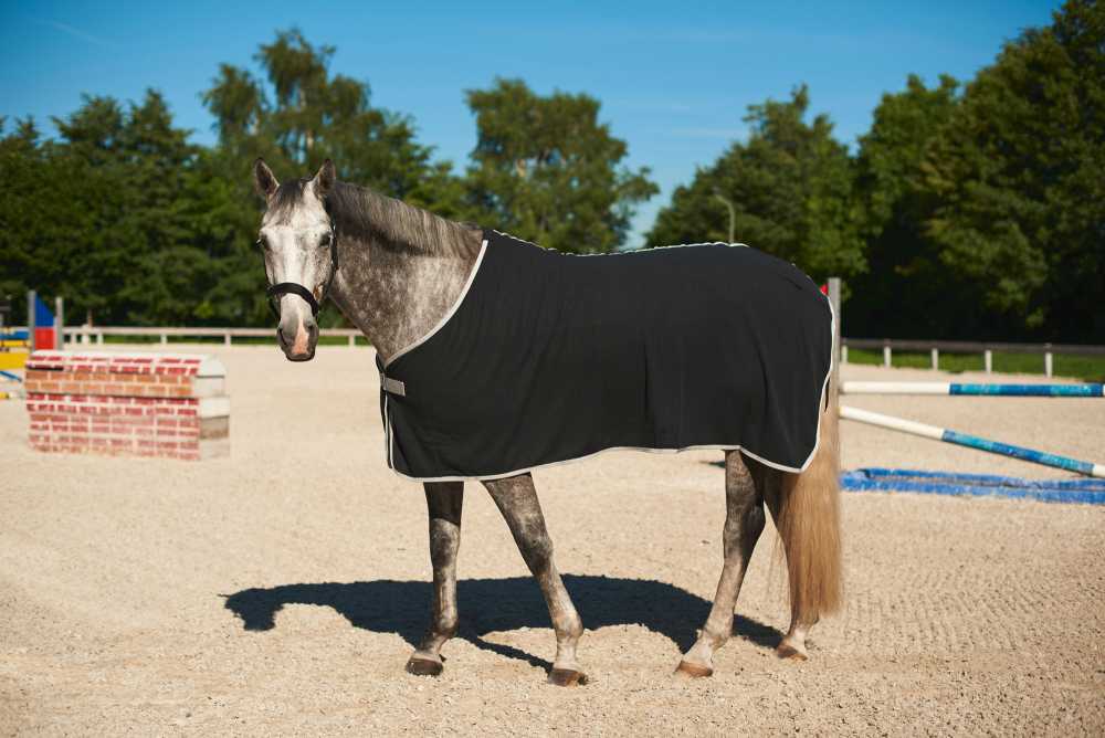 RugBe Fleecdecke Economic