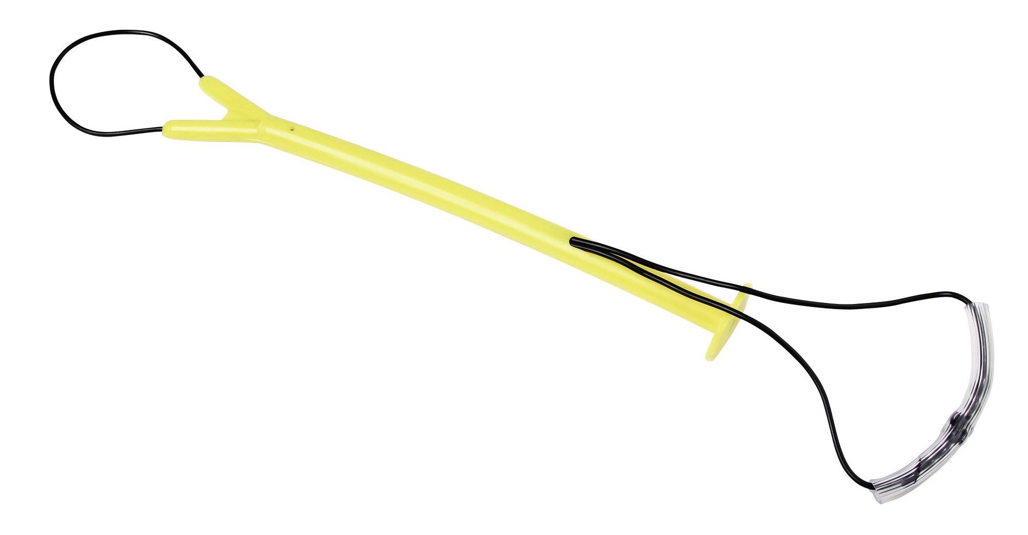 Geburtshelfer für Schafe