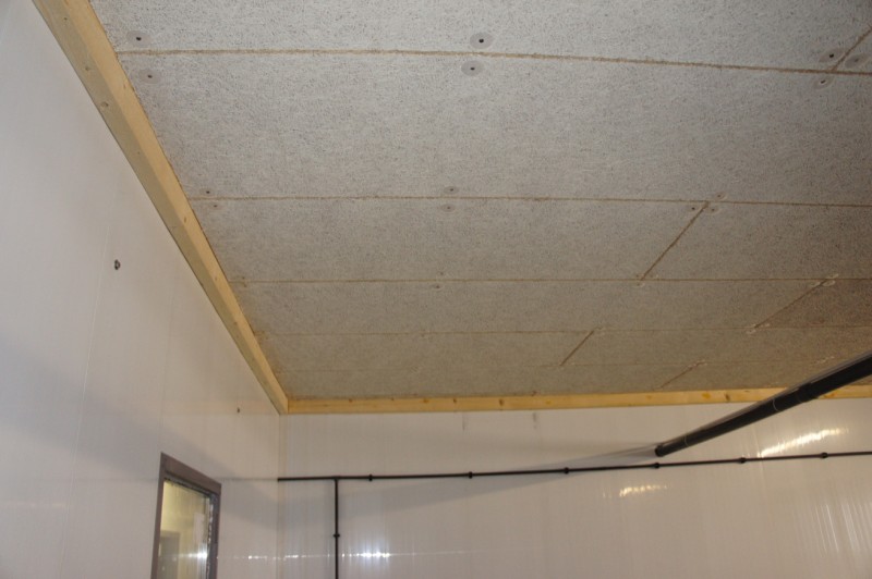 Holzwolle-Lüftungsplatte mit grobwolliger Oberflächenstruktur, 25 mm dick und 240 x 60 cm groß