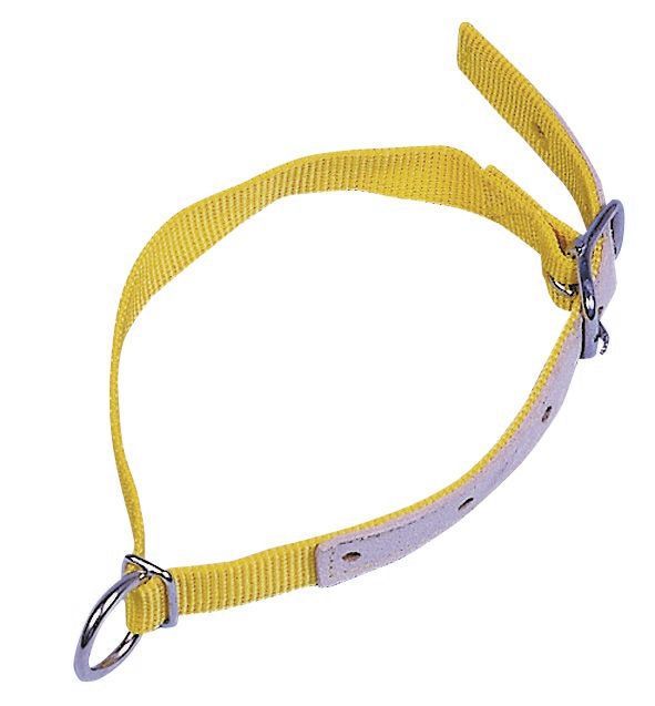 Halsband für Schafe aus Nylon - 60cm mit Dornschnalle