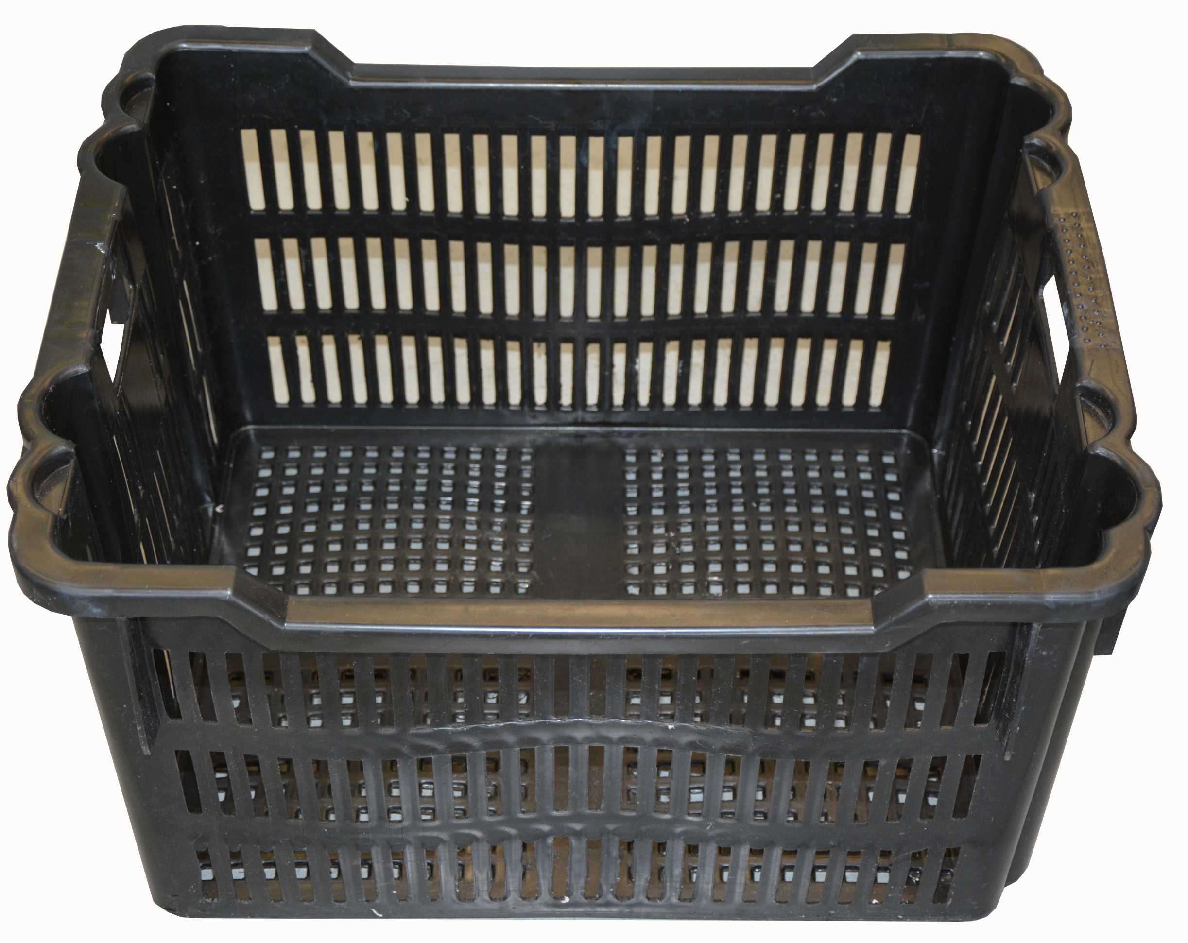 MK Ferkelkorb Kunststoff 