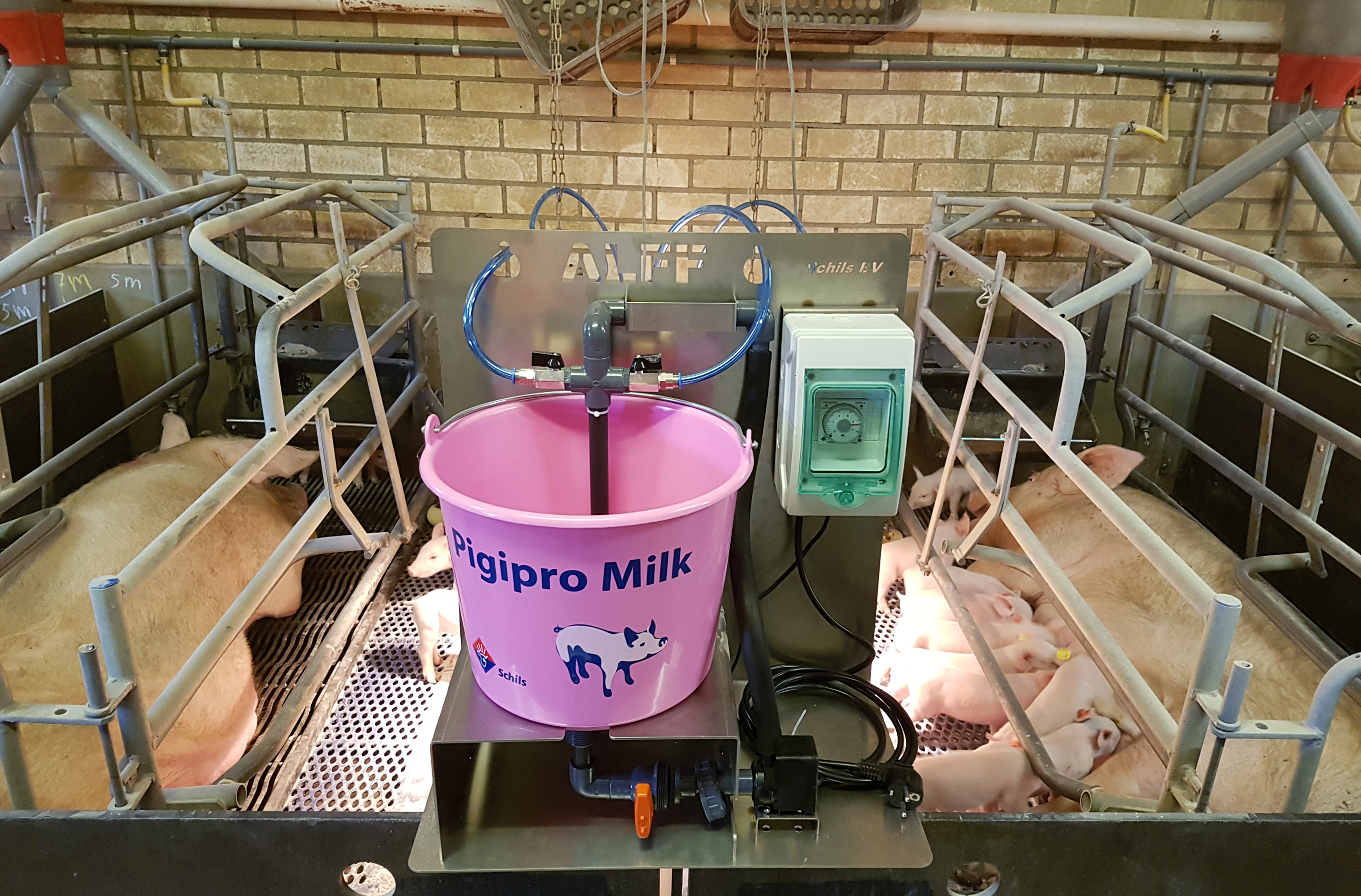 Ferkelamme Pigipro Milk ***