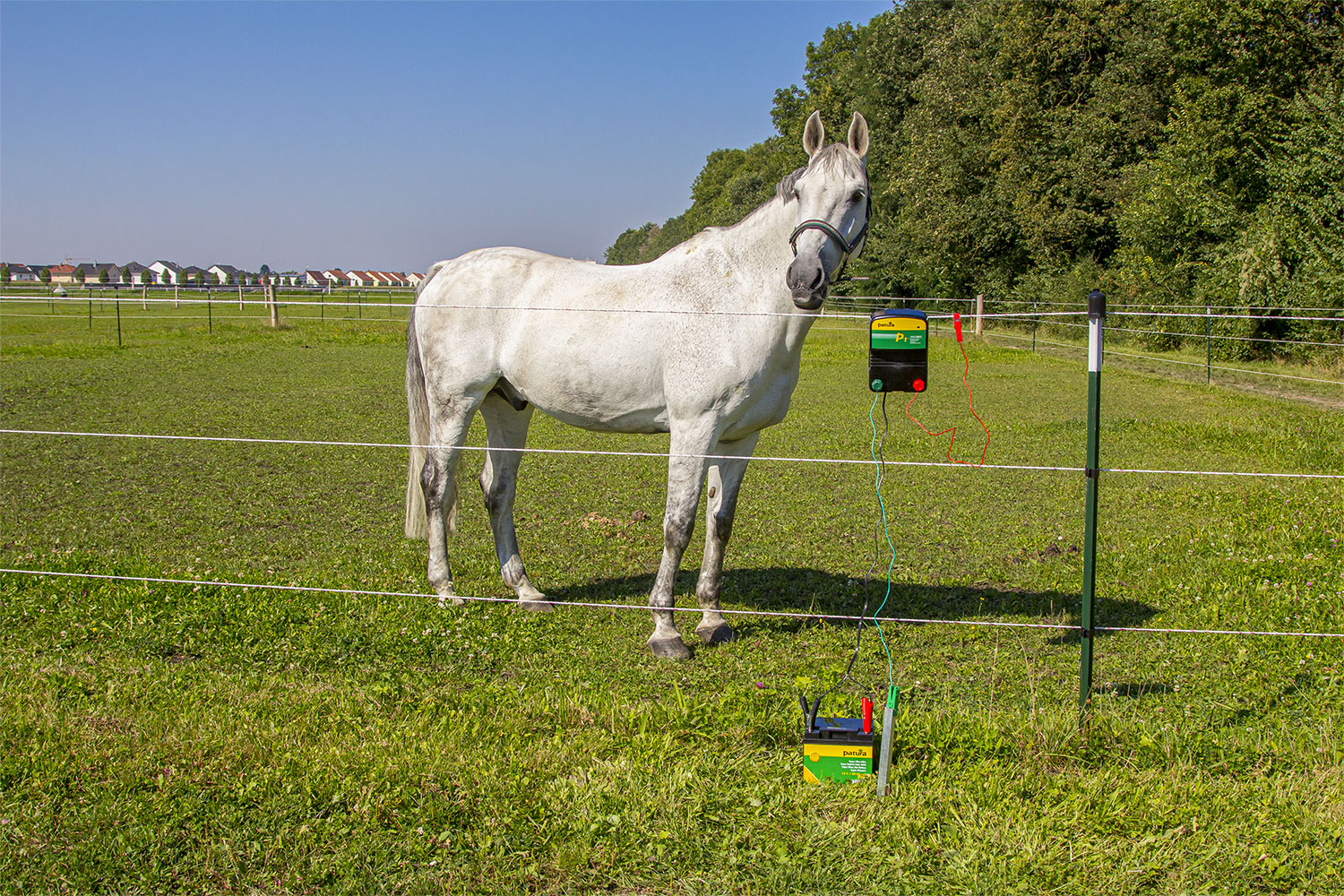 Patura Kombi-Elektrozaungerät P1