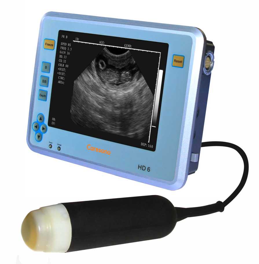 Ultraschall SCANNER Pig Scan