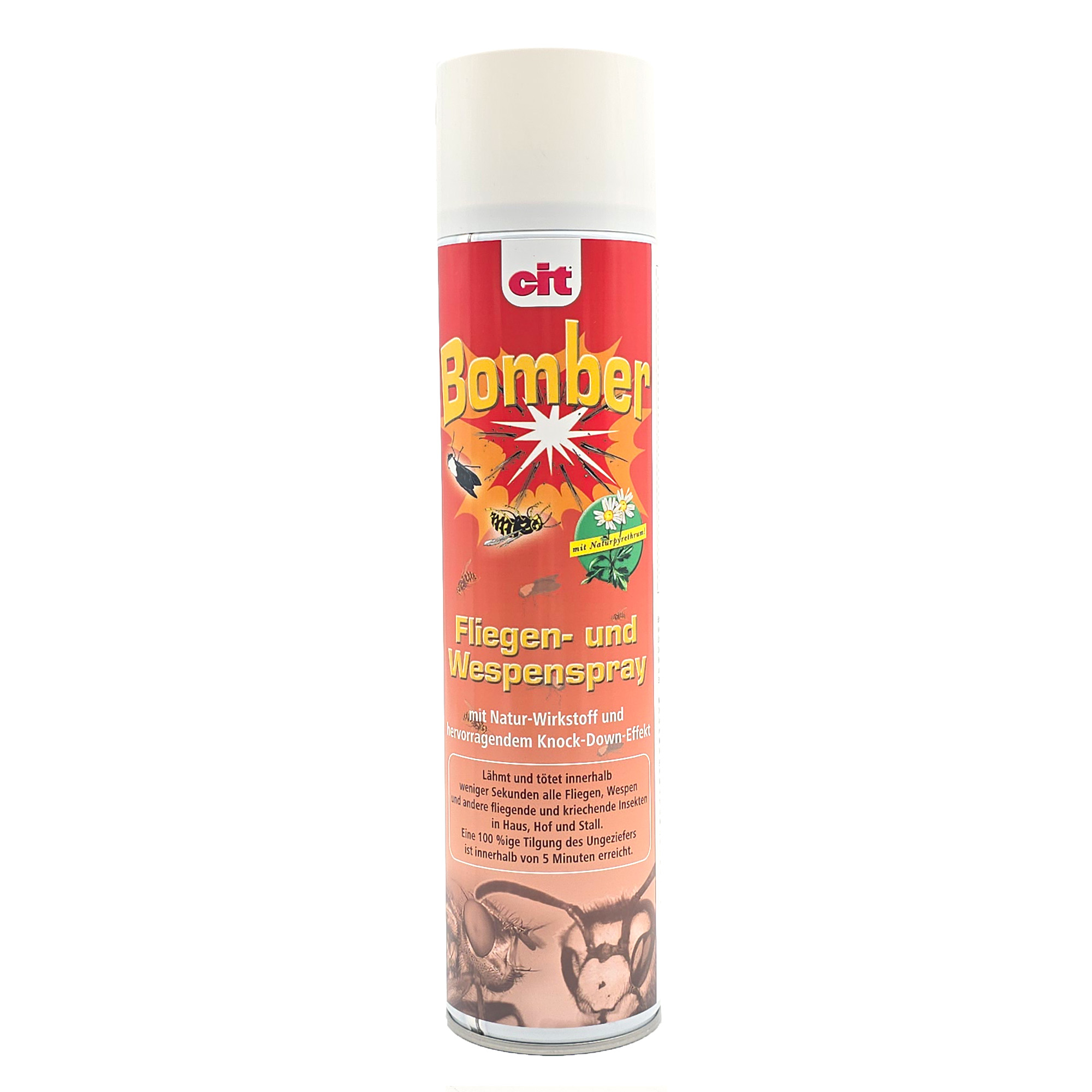 cit Fliegen- und Wespenspray Bomber