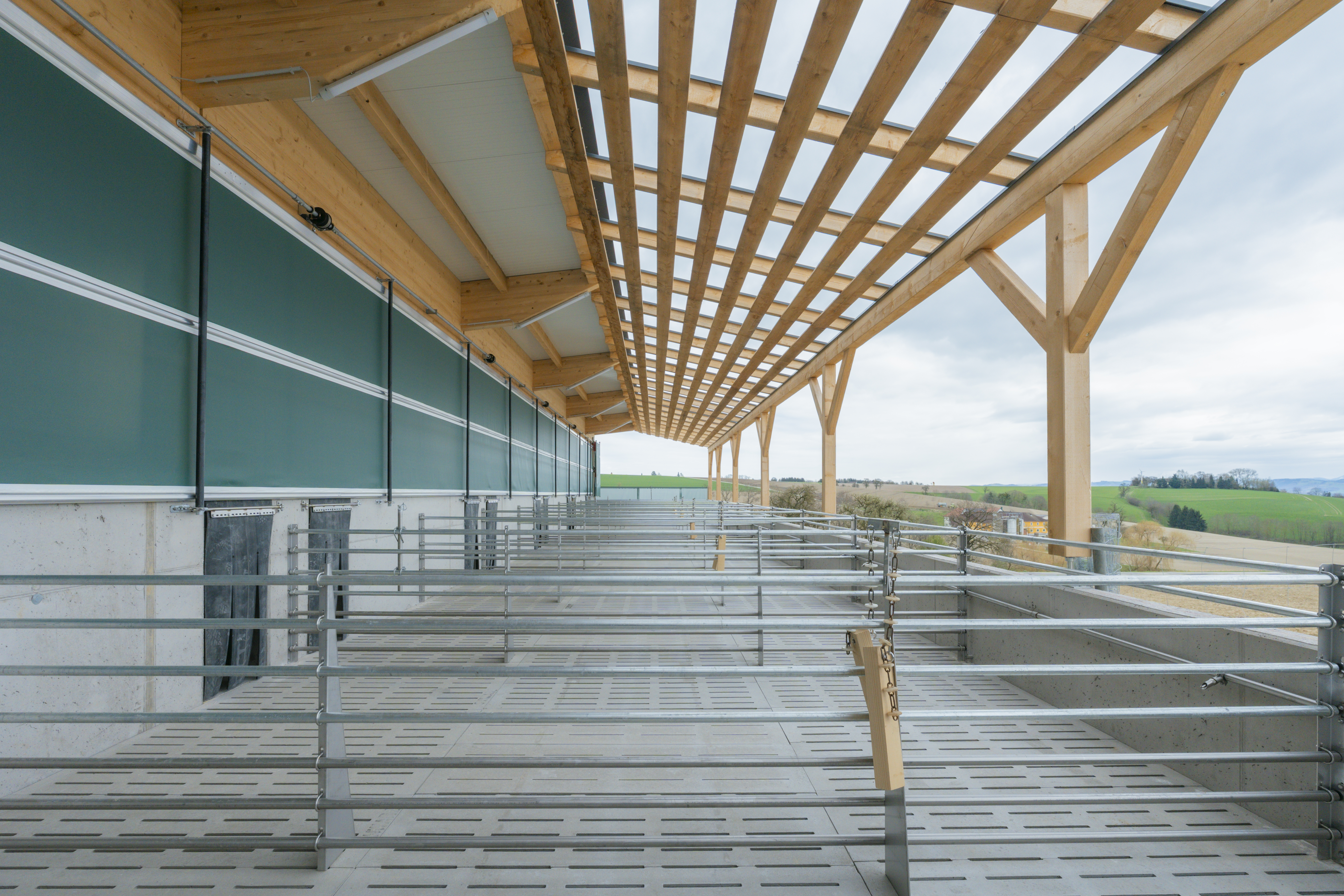 Stallgebäude PIG PORT 3