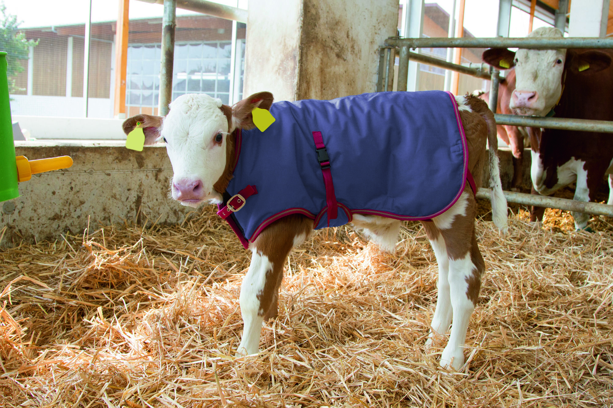 Kälberdecke Thermo Plus speziell für den Winter