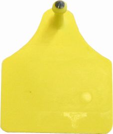 Ohrmarken Allflex männlich BLANCO(1Stk.)