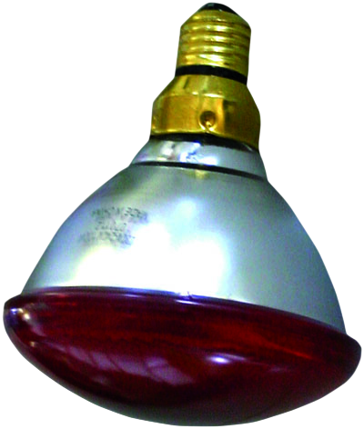 Energiesparstrahler Rot 100W-Interheat (2Stk/Pkg)