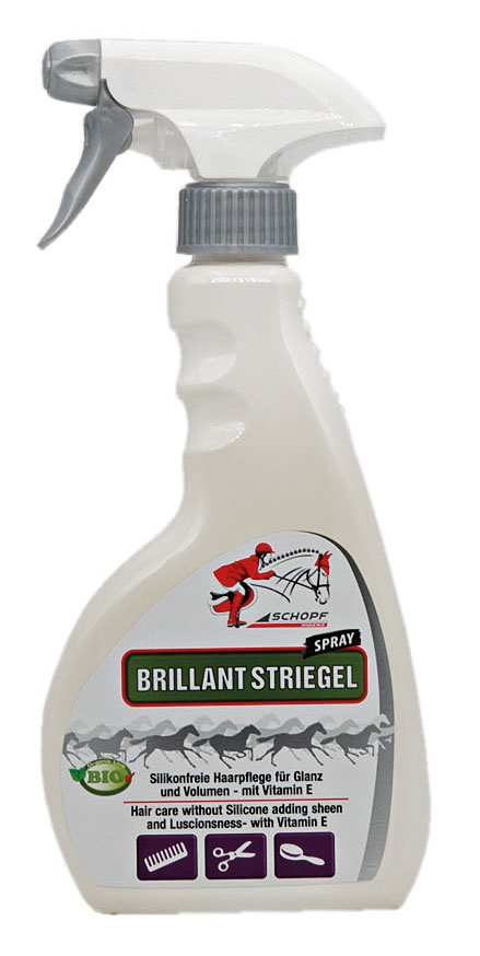 Shine Brillant Striegel 500ml