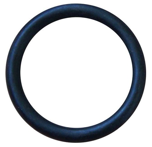O-Ring 4020728