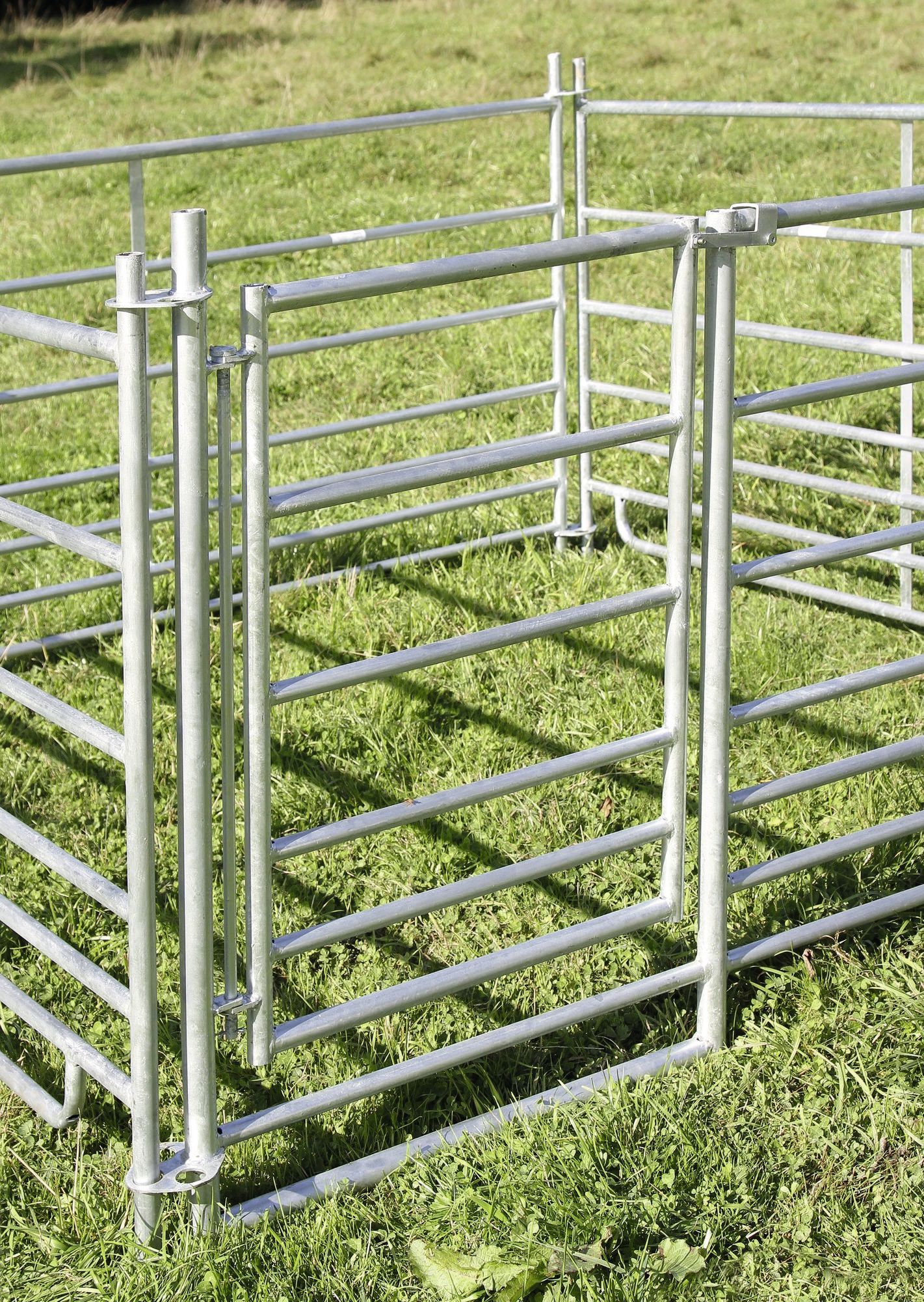 Steckhorde mit Tor, 1,83 m 