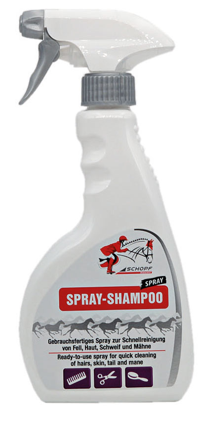 Shine Spray-Shampoo 500ml