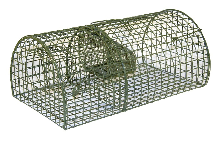 Rattenfalle halbrund mit 2 Fangkammern